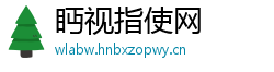 眄视指使网